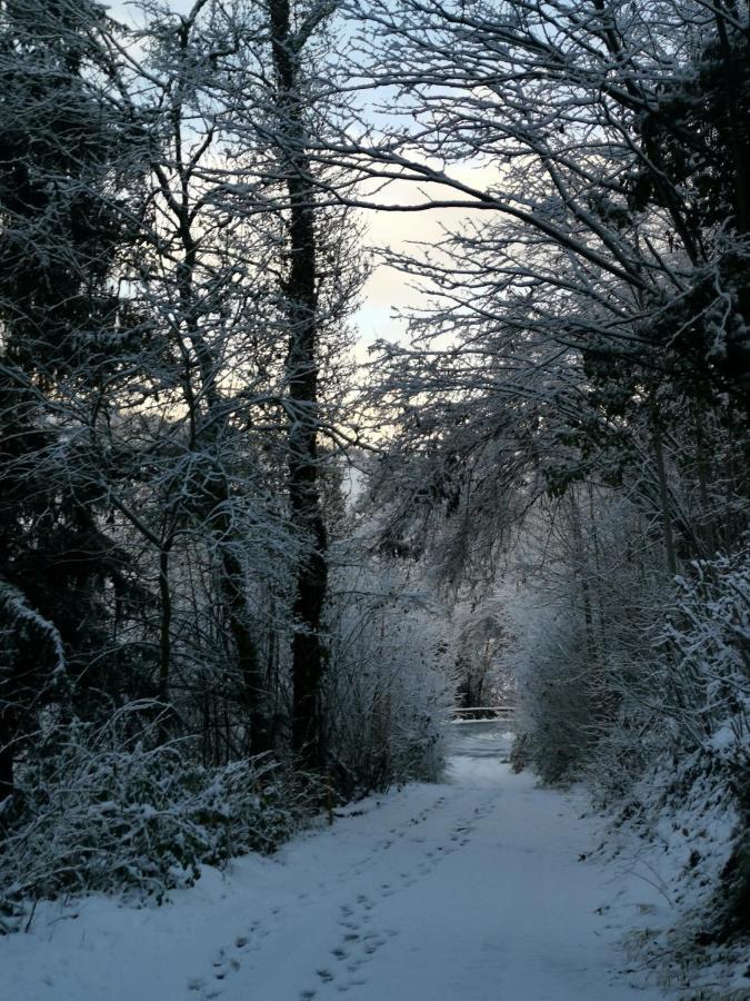 Kaban' Des Neiges Apartman Saint-Gervais-les-Bains Kültér fotó