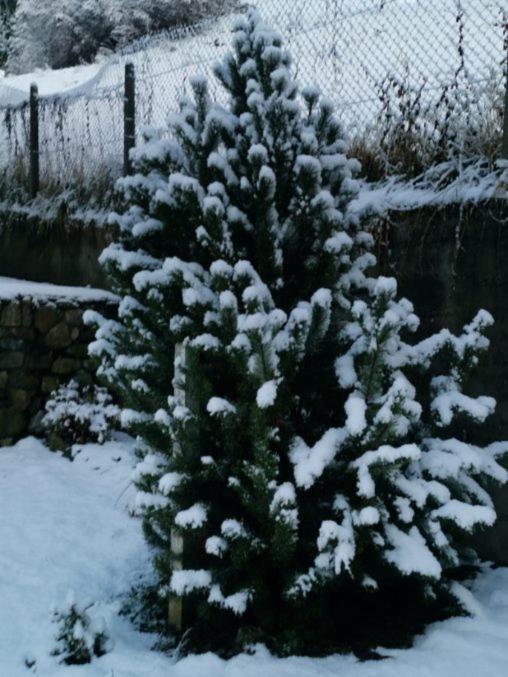 Kaban' Des Neiges Apartman Saint-Gervais-les-Bains Kültér fotó